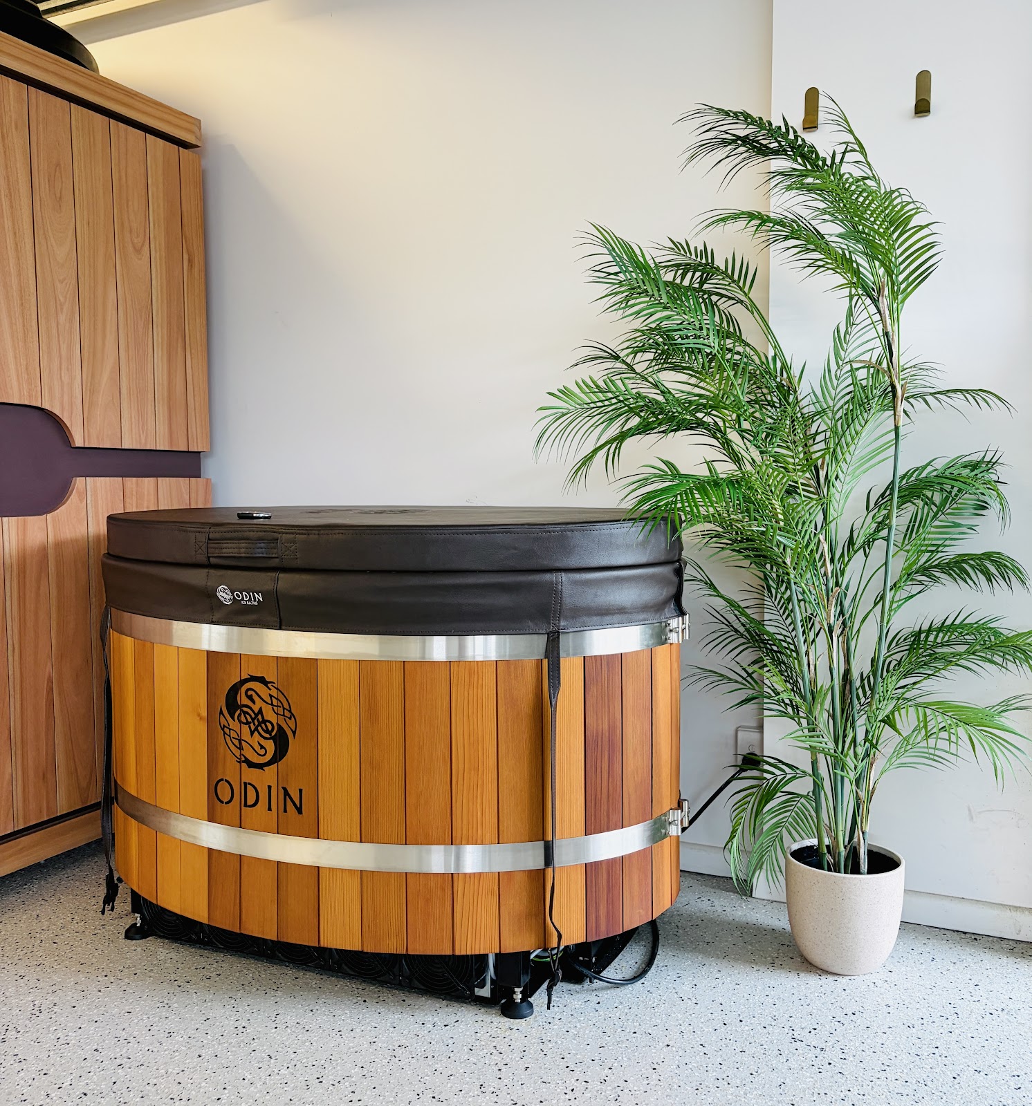 Timber ice bath tub plugged in beside a potted palm
